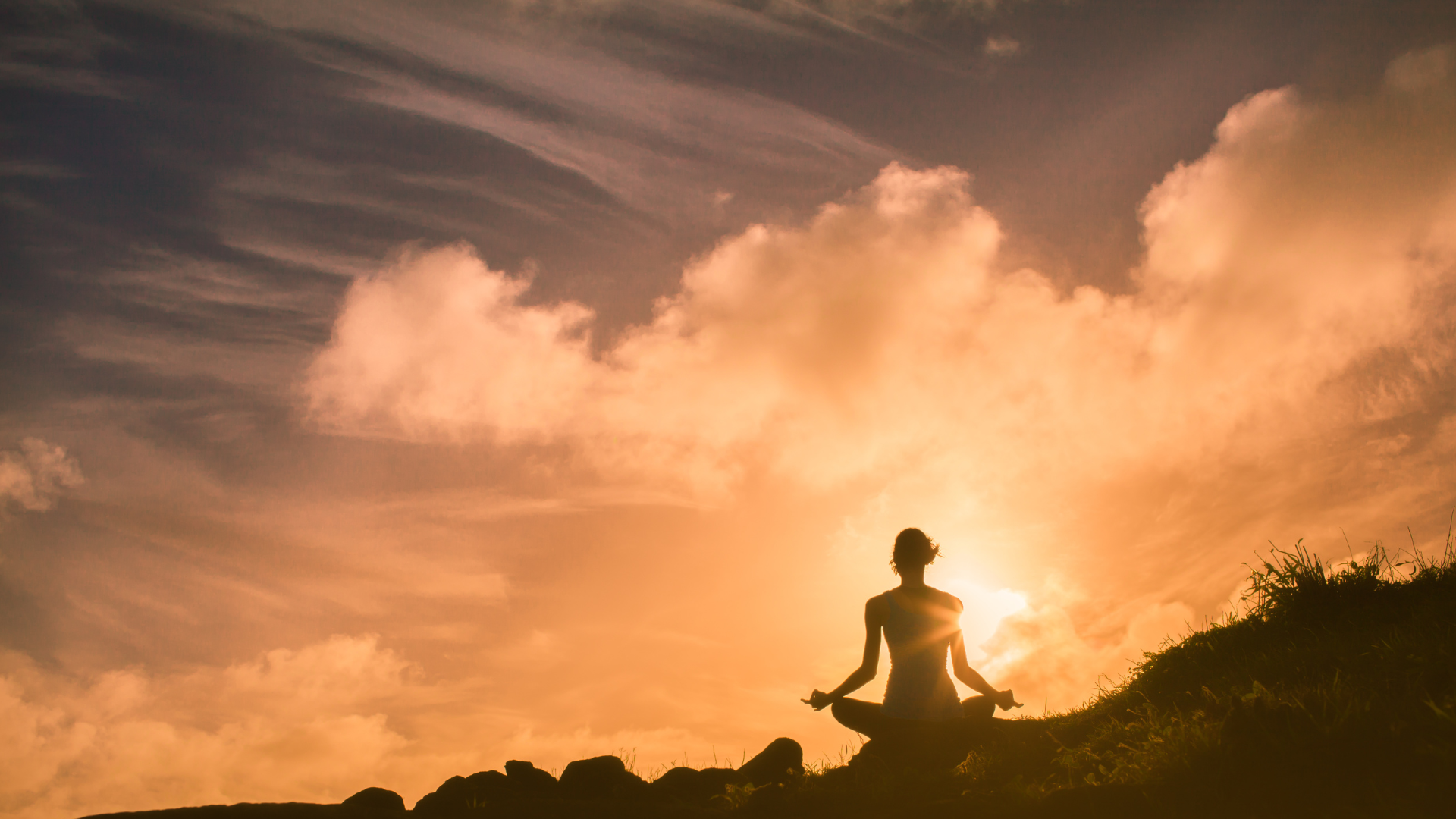 1:1 Naturopathy Consult