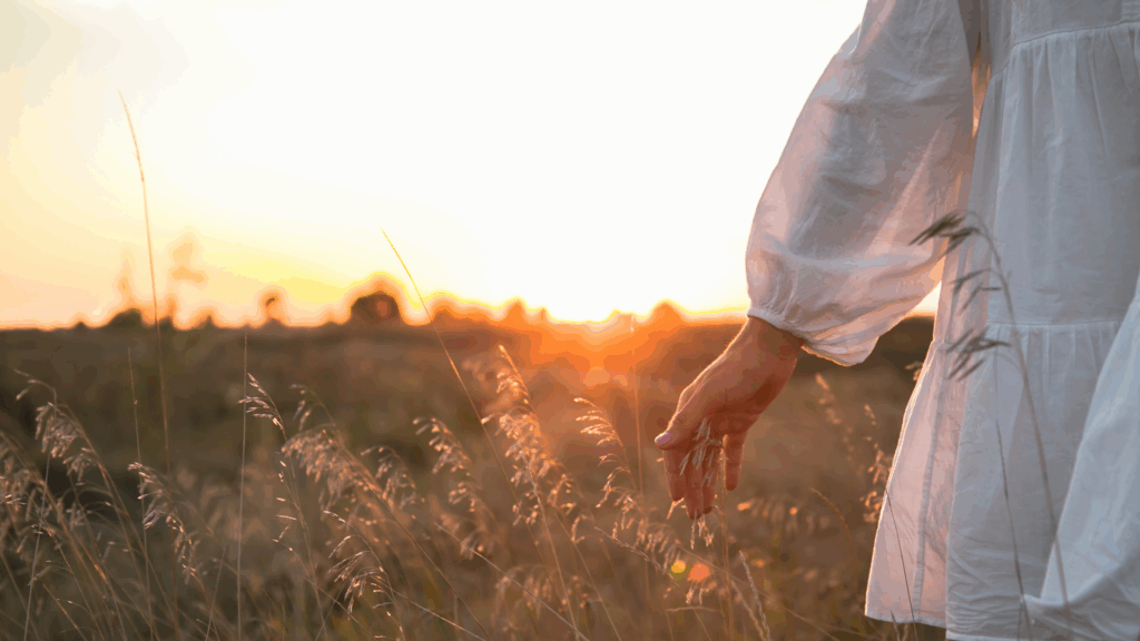 Birth control and gut health