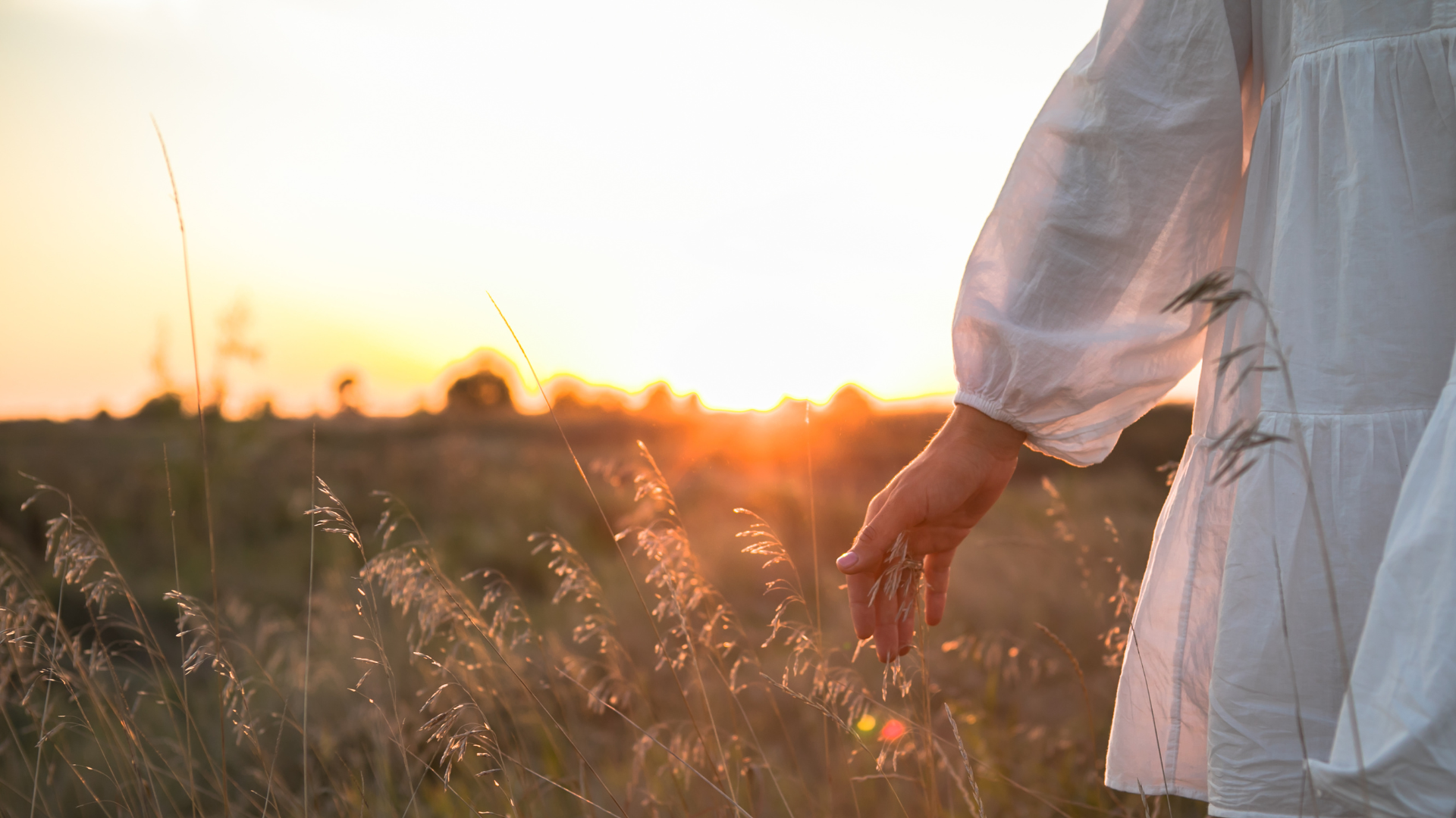 Functional Naturopathy